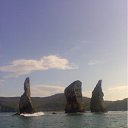 ��� �����