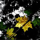 ���� ���������, �������, 69 ��� - ��������� 11 ��� 2012