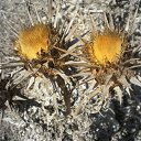 ���� ���������, ���������, 51 ��� - ��������� 9 ����� 2010 � ������ �������������