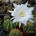 ���� ������, ������, 69 ��� - ��������� 5 ������ 2013 � ������ ���� ��������� ����������