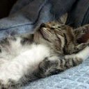 ���� �������, �����-���������, 24 ���� - ��������� 7 ��� 2012