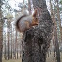 ���� ������ ~������~ ������ � �����, �������, 45 ��� - ��������� 24 ������� 2010 � ������ �������