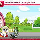   , , 33  -  13  2011   PetLove