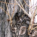 ���� �������, ������������ - ��������� 9 ������� 2011 � ������ ���������� ����