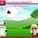 ���� Alexandr, �������������, 48 ��� - ��������� 23 �������� 2010 � ������ �PetLove�