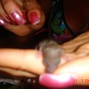 ���� �������������, �����-��������� - ��������� 1 ������� 2009 � ������ �������