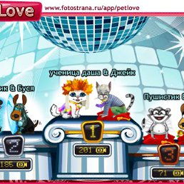 ���� ��� ����, ������, 24 ���� - ��������� 12 ������ 2010