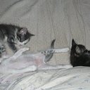 ���� ��������, ������, 45 ��� - ��������� 2 ������� 2009 � ������ �������