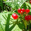 ���� �������, ������� - ��������� 10 ������ 2010 � ������ �� ����...�