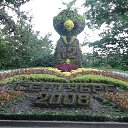 ���� ����, �������, 66 ��� - ��������� 31 ����� 2013 � ������ ���� �����