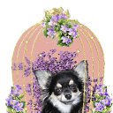 ���� ����, �����-���������, 22 ���� - ��������� 28 ������� 2010