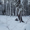 ���� ����, �������, 52 ���� - ��������� 27 ������ 2013 � ������ ���� ����������