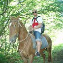 ���� �������, ���������, 43 ���� - ��������� 12 �������� 2011