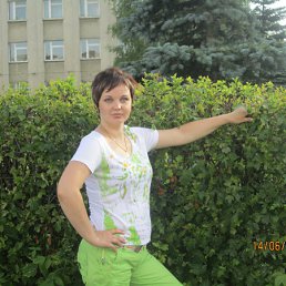 ���� ��������, ������ ��������, 44 ���� - ��������� 20 ���� 2012