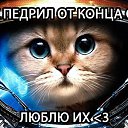 ���� ����, ������, 51 ��� - ��������� 14 ���� 2013