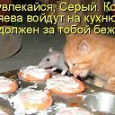 ���� ���, ����, 50 ��� - ��������� 29 ��� 2011 � ������ �������