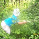 ���� ���, ����������, 61 ��� - ��������� 29 ���� 2012 � ������ ����� ��Ш���