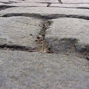 ����� �����.. �� ������� ��������