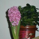  , , 57  -  20  2013   Ż