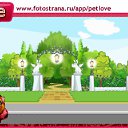  Ը, , 43  -  12  2010   PetLove