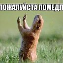���� ������, �����, 38 ��� - ��������� 24 ���� 2013 � ������ ������ ��������