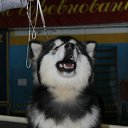 ���� ���������, ����-���, 67 ��� - ��������� 12 ��� 2012 � ������ ���� ����������