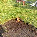 ���� ��, ������, 51 ��� - ��������� 28 ������� 2010