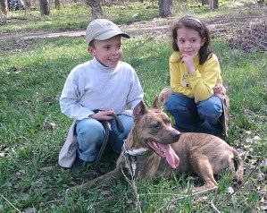 ���� ����, �������������� - ��������� 28 ���� 2013