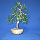 ���� ����, �����������, 63 ���� - ��������� 18 ������ 2010 � ������ ���� ���������