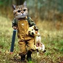 ���� ������, ������, 50 ��� - ��������� 5 ���� 2013 � ������ ���� ����������