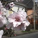   - , , 65  -  2  2012   