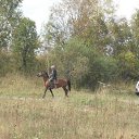 ���� ��������, �����, 49 ��� - ��������� 13 �������� 2009 � ������ �������� � ����� � �������������