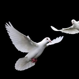 �������, ����-���������