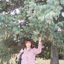 ���� ������, ������������, 67 ��� - ��������� 20 ������ 2013