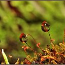 ���� ������, ������, 34 ���� - ��������� 26 ��� 2010 � ������ ����� � ��������