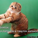���� ˸��, ����, 44 ���� - ��������� 26 ���� 2012 � ������ ������