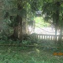 ���� �����, ���������� �����, 55 ��� - ��������� 19 ������� 2013