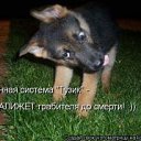 ���� �����, �������, 36 ��� - ��������� 29 ������ 2010 � ������ ���������