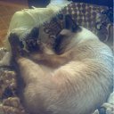 ���� ����, �������� - ��������� 30 ����� 2011