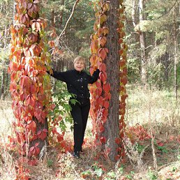 ���������, ���������, 72 ����