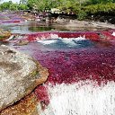       .     Cano Cristales  ,          .     