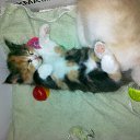 ���� ���������, ����, 53 ���� - ��������� 17 ����� 2012 � ������ ������