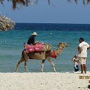 ���� �����, ������� - ��������� 7 ������ 2012 � ������ ���� ����������