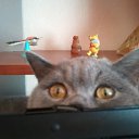 ���� Maik, �����-���������, 38 ��� - ��������� 25 ������� 2011 � ������ ���� �����