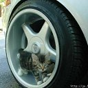 ���� ����� - ���������� ��������!!!, �����������, 56 ��� - ��������� 21 ����� 2010 � ������ �����Ȼ