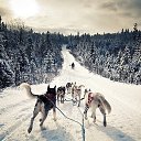 ���� �����, ������, 32 ���� - ��������� 24 ������� 2012 � ������ ������ ��������