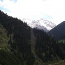 ���� ��� �����, �����������, 50 ��� - ��������� 1 ���� 2009 � ������ ������� �����