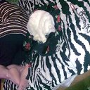 ���� �����, ������, 57 ��� - ��������� 10 �������� 2010 � ������ ���� �������� � ���߻