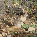 ���� �������, ��������-��-������, 68 ��� - ��������� 3 ������ 2013 � ������ ������������