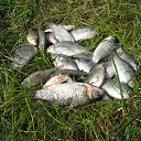 ���� ������, ����, 75 ��� - ��������� 8 ������� 2011 � ������ ���� ����������